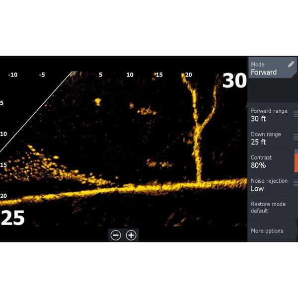 Lowrance Active Target 2 Module Only