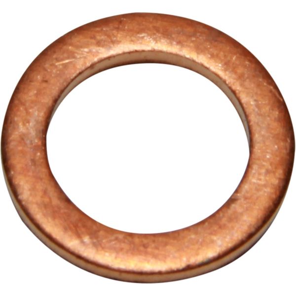 AG Copper Washers Pack of 10 (1/8" BSP Male)