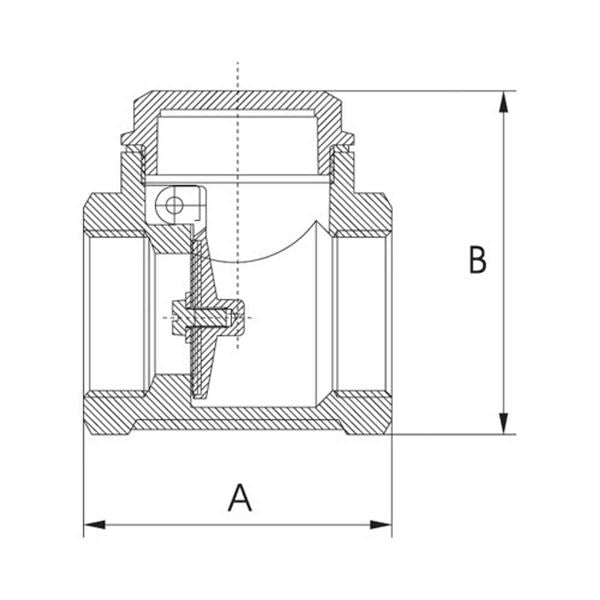 AG Swing Check Valve Brass 1/2" BSP Female