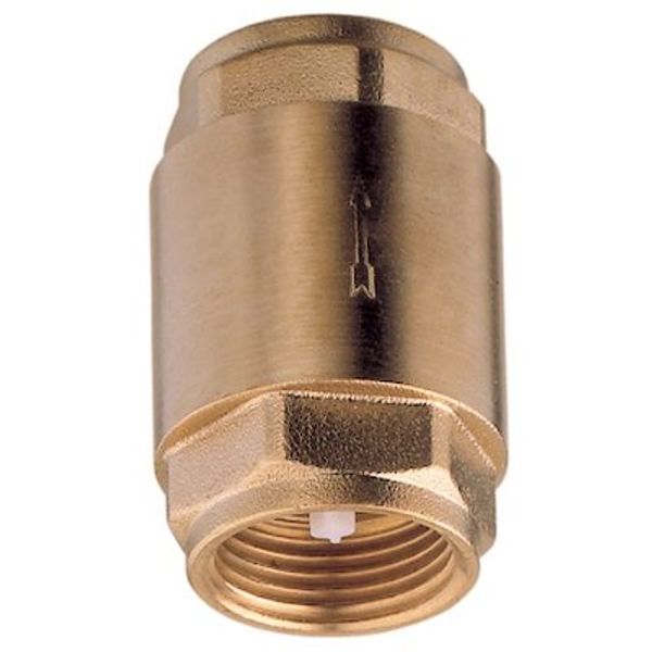 AG Spring Check Valve 1-1/4" BSP Female