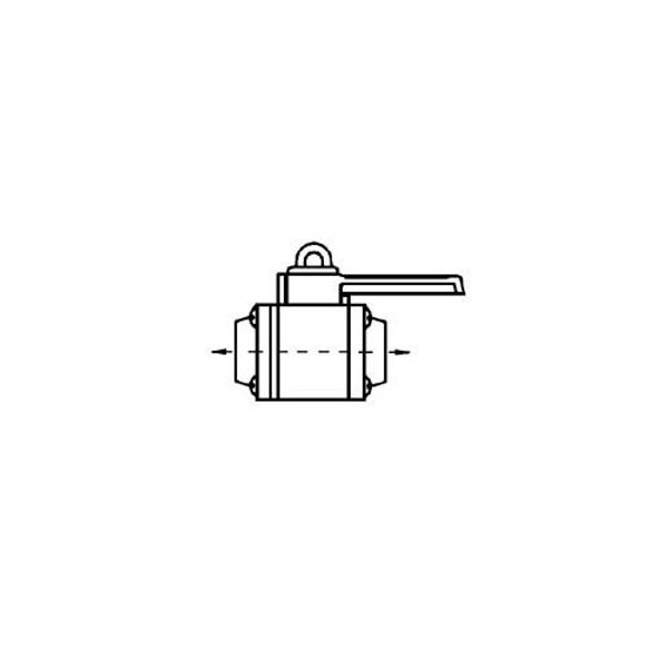 Forespar Valve 1-1/2" BSP Female Ports