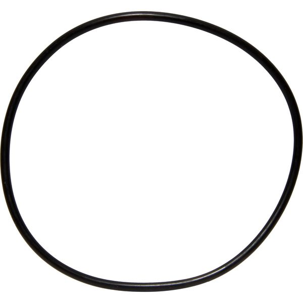 Maestrini Raw Water Intake Strainer O-Ring (3/8" & 1/2")