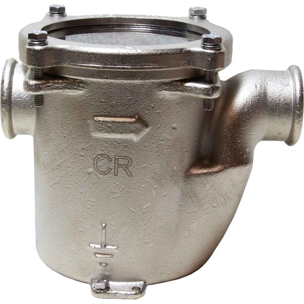 Maestrini DZR Base Mounted Water Strainer (1" BSP Female)