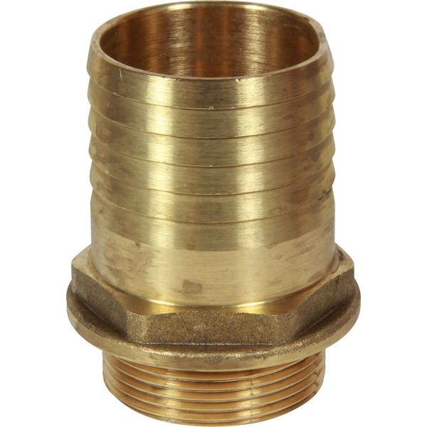 Maestrini Brass Straight Hose Tail (1-1/2" BSP Male to 51mm Hose)