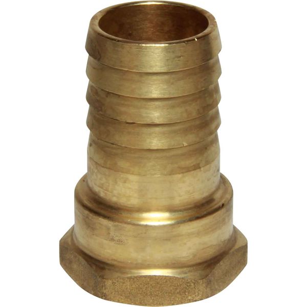 Maestrini Brass Straight Hose Tail (3/4" BSP Female to 25mm Hose)