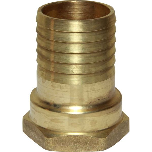 Maestrini Brass Straight Hose Tail (1-1/4" BSP Female to 38mm Hose)