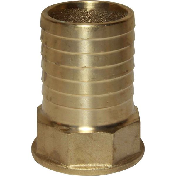 Maestrini Brass Straight Hose Tail (1-1/4" BSP Female to 40mm Hose)