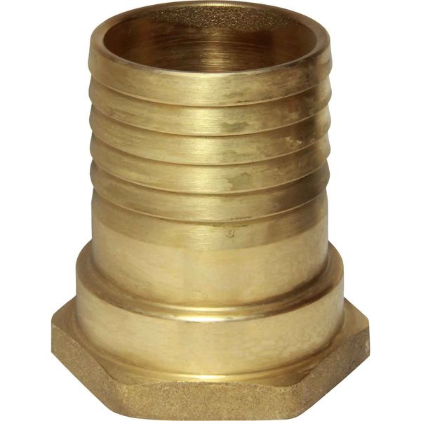 Maestrini Brass Straight Hose Tail (1-1/2" BSP Female to 45mm Hose)