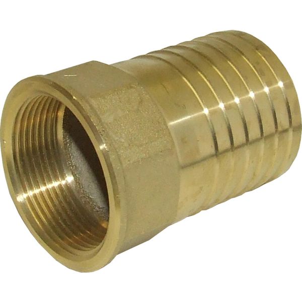 Maestrini Brass Straight Hose Tail (1-1/2" BSP Female to 50mm Hose)