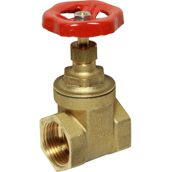 Maestrini Brass Gate Valve with Brass Body (1" BSP Female)