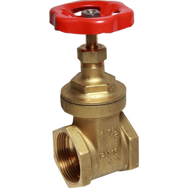 Maestrini Brass Gate Valve with Brass Body (1-1/2" BSP Female)