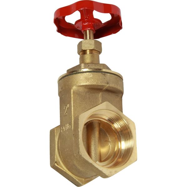 Maestrini Brass Gate Valve with Brass Body (2" BSP Female)