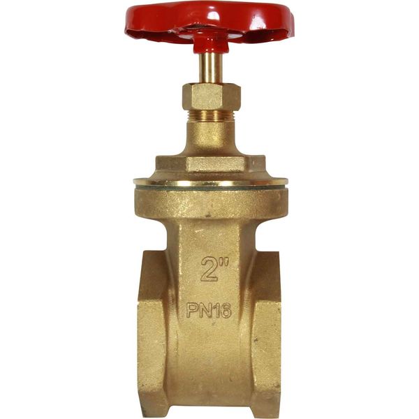 Maestrini Brass Gate Valve with Brass Body (2" BSP Female)