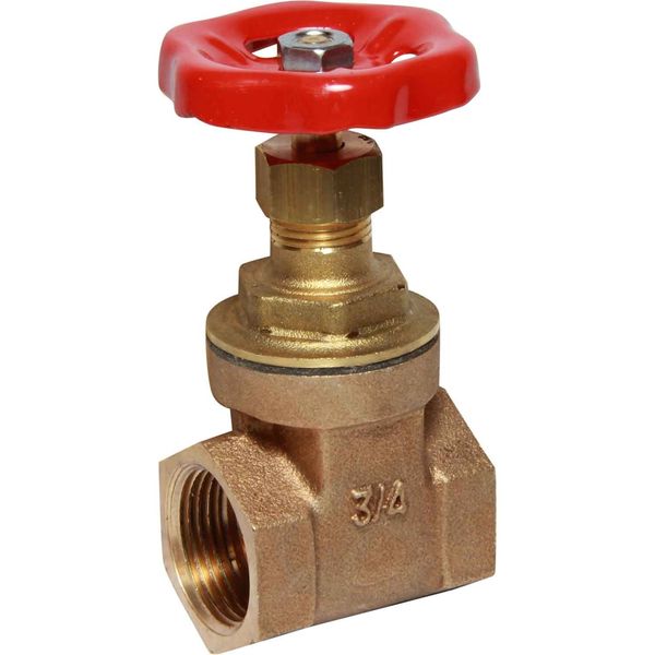Maestrini Brass Gate Valve with Bronze Body (3/4" BSP Female)