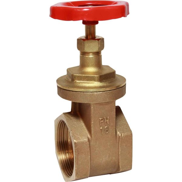 Maestrini Brass Gate Valve with Bronze Body (4" BSP Female)