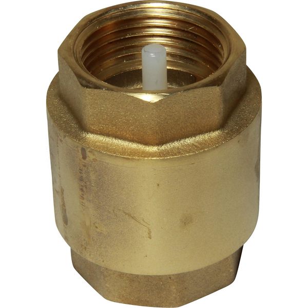 Maestrini Brass Inline Spring Check Valve (1" BSP Female)