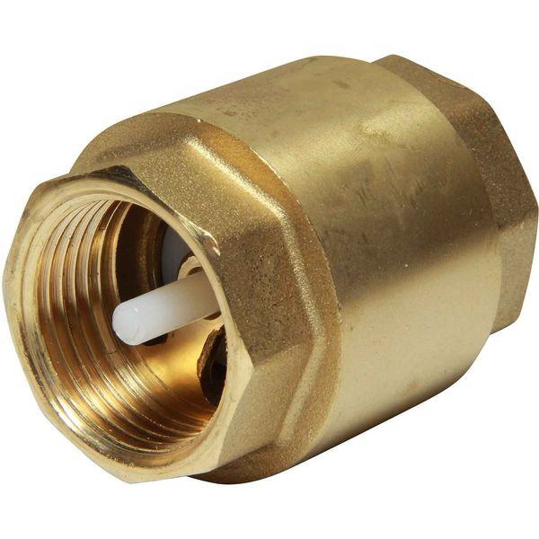 Maestrini Brass Inline Spring Check Valve (1" BSP Female)