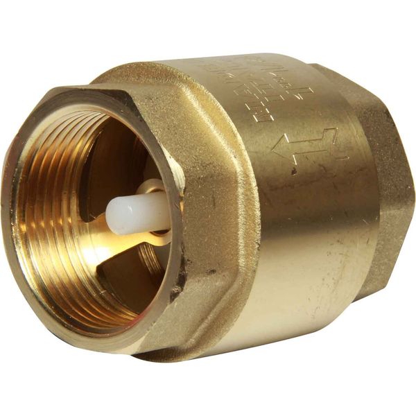 Maestrini Brass Inline Spring Check Valve (1-1/4" BSP Female)