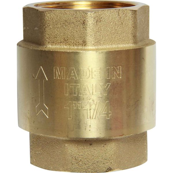 Maestrini Brass Inline Spring Check Valve (1-1/4" BSP Female)