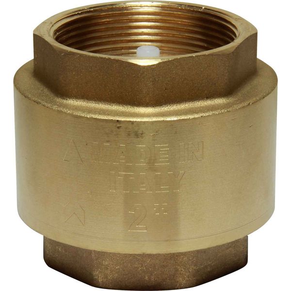 Maestrini Brass Inline Spring Check Valve (2" BSP Female)