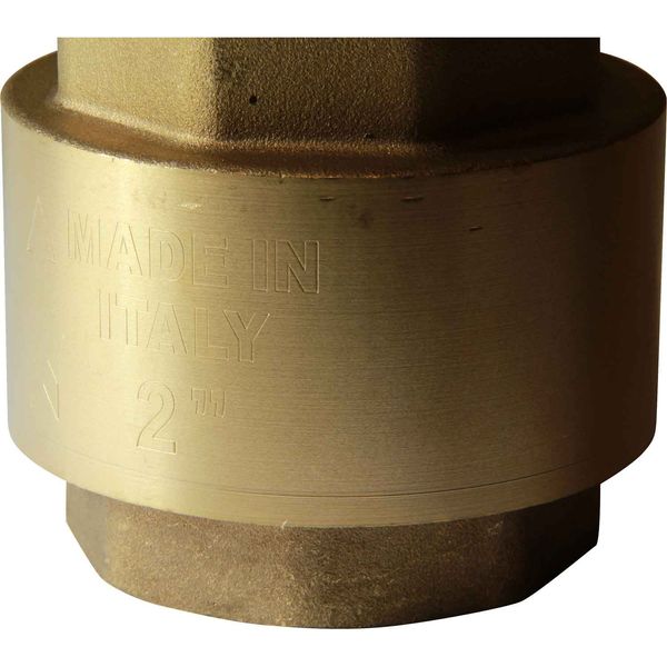 Maestrini Brass Inline Spring Check Valve (2" BSP Female)