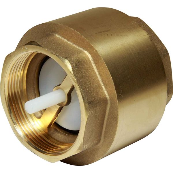 Maestrini Brass Inline Spring Check Valve (2" BSP Female)