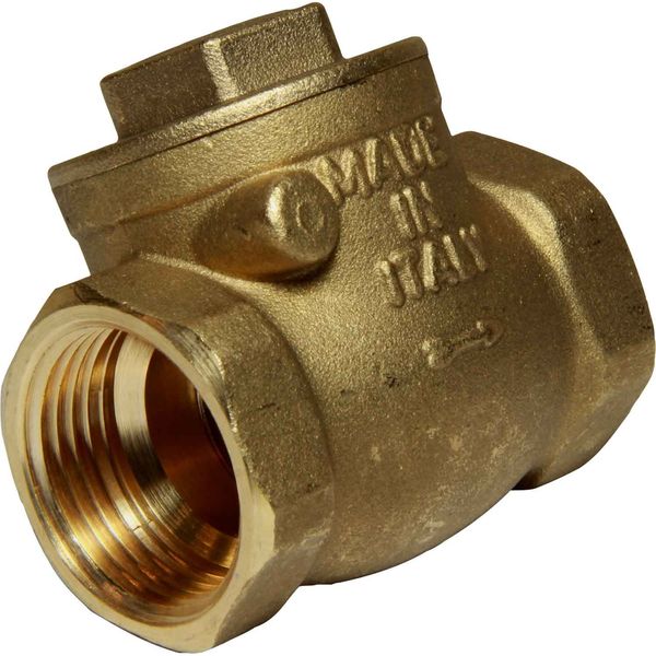 Maestrini Brass Inline Swing Check Valve (1" BSP Female)