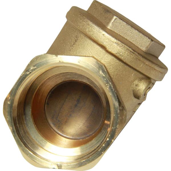 Maestrini Brass Inline Swing Check Valve (1-1/4" BSP Female)