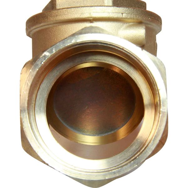 Maestrini Brass Inline Swing Check Valve (2" BSP Female)