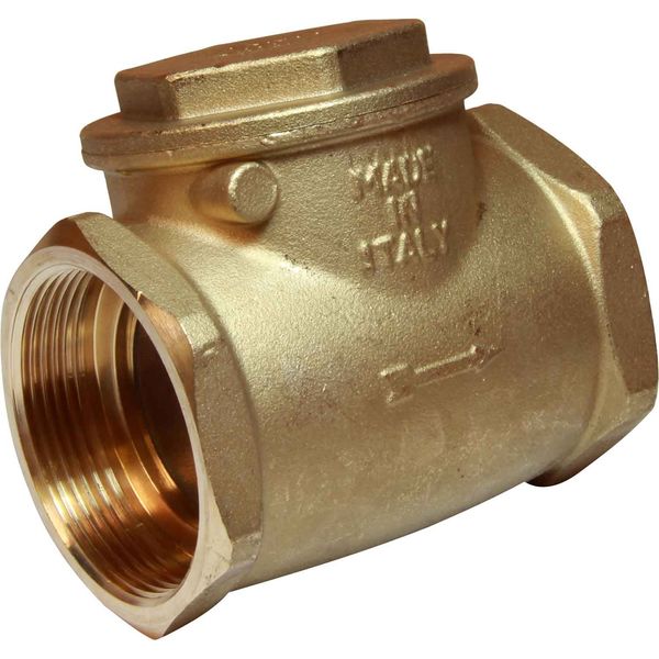 Maestrini Brass Inline Swing Check Valve (2" BSP Female)