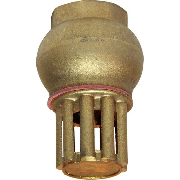 Maestrini Brass Foot Valve (1/2" BSP Female)