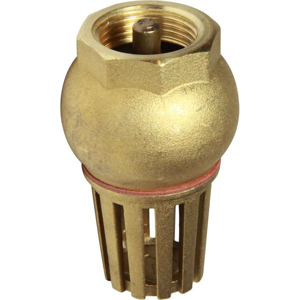 Maestrini Brass Foot Valve (3/4" BSP Female)