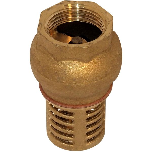 Maestrini Brass Foot Valve (1" BSP Female)