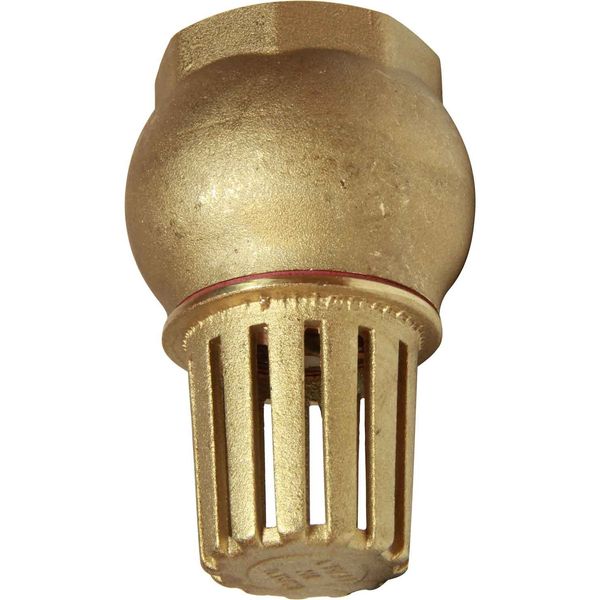 Maestrini Brass Foot Valve (1-1/4" BSP Female)