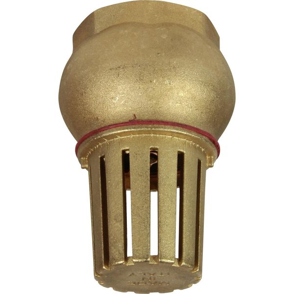 Maestrini Brass Foot Valve (1-1/2" BSP Female)