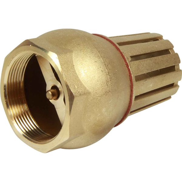 Maestrini Brass Foot Valve (2" BSP Female)