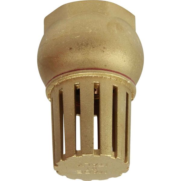 Maestrini Brass Foot Valve (2" BSP Female)