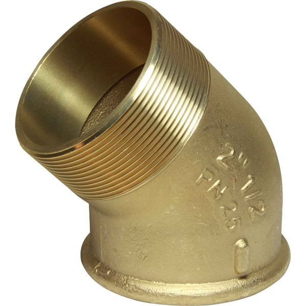 Maestrini Brass Compact 45° Elbow (2-1/2" BSPT Male / BSP Female)