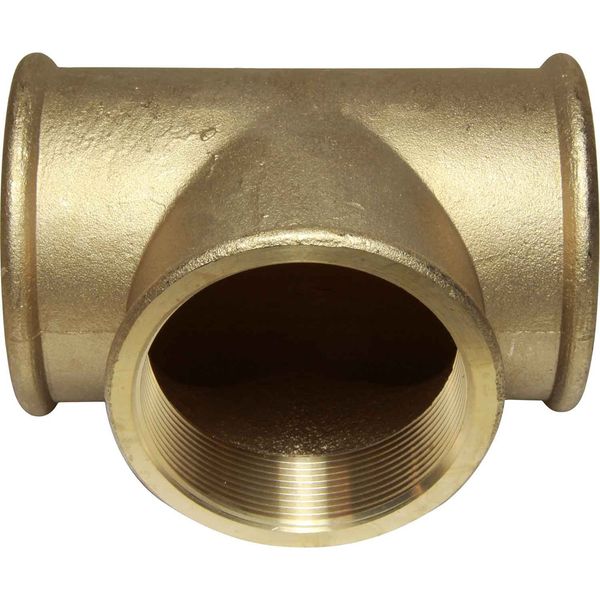 Maestrini Brass Equal Tee Fitting (3" BSP Female)