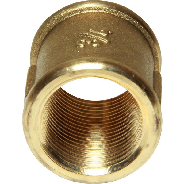 Maestrini Brass Equal Socket (3/4" BSP Female)