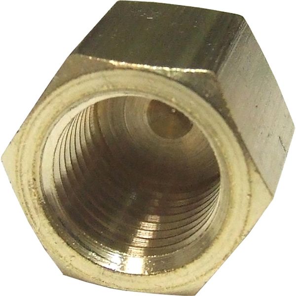 Maestrini Brass Blanking Cap (1/4" BSP Female)