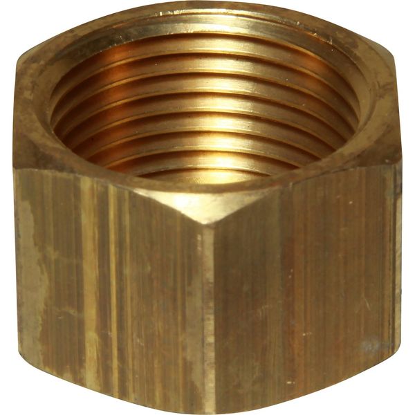 Maestrini Brass Blanking Cap (1" BSP Female)