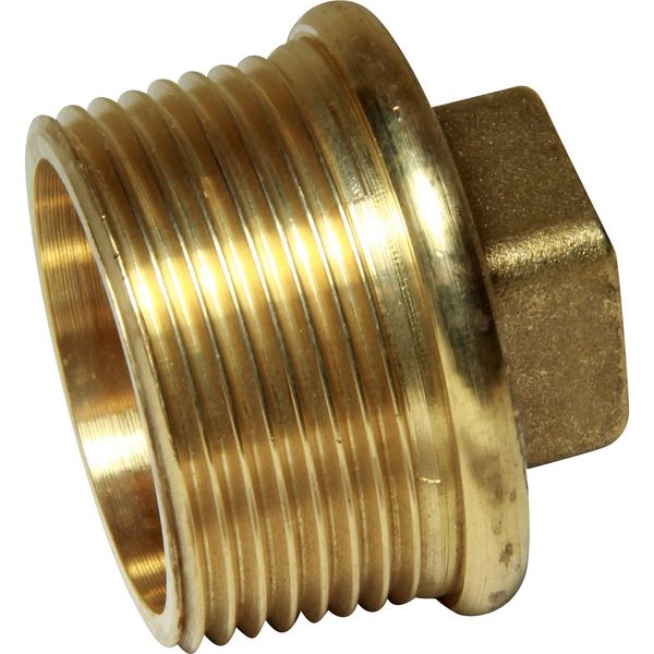 Maestrini Brass Tapered Plug (1-1/4" BSPT Male)