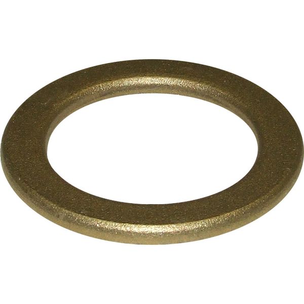 Maestrini Brass Washer (2" BSP)