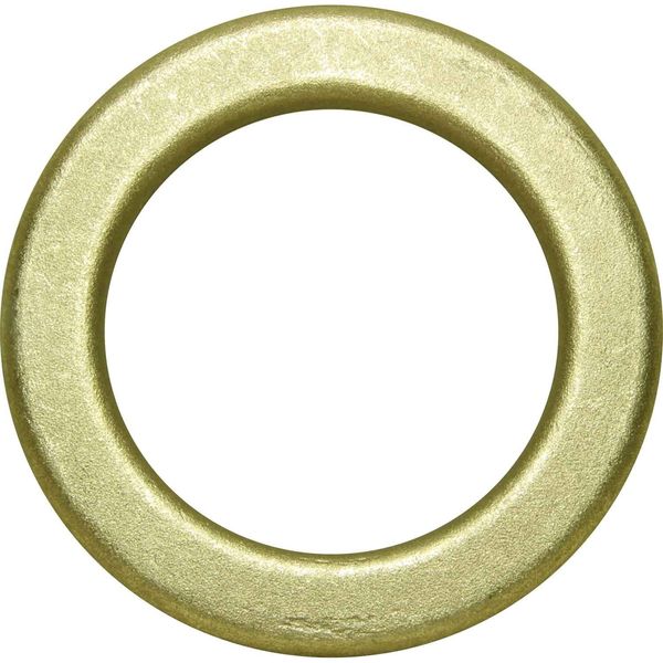 Maestrini Brass Washer (2-1/2" BSP)