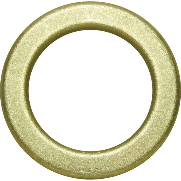 Maestrini Brass Washer (3" BSP)