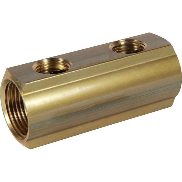 Maestrini Brass Female Pipe Manifold (1" BSP with 2 x 1/2" Inlets)