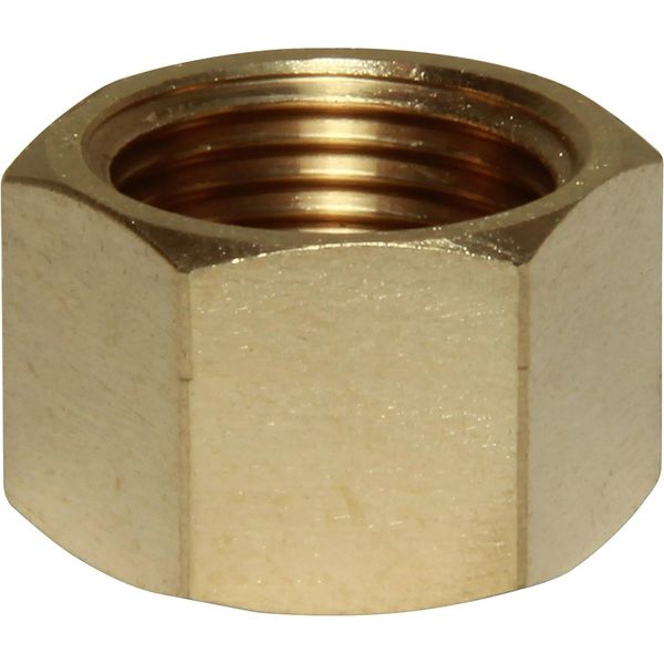 Maestrini Bronze Blanking Cap (3/8" BSP Female)