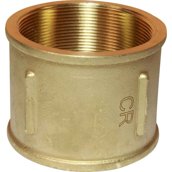 Maestrini DZR Equal Socket (3" BSP Female)