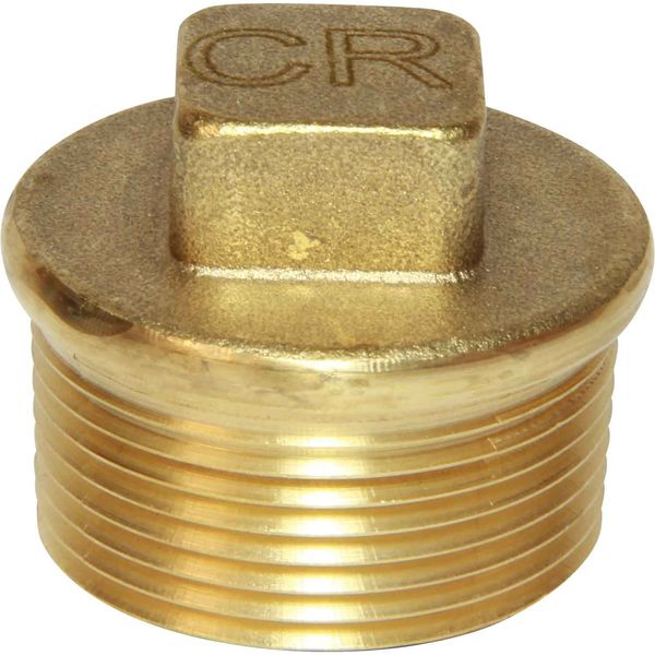 Maestrini DZR Tapered Plug (1-1/4" BSP Male)